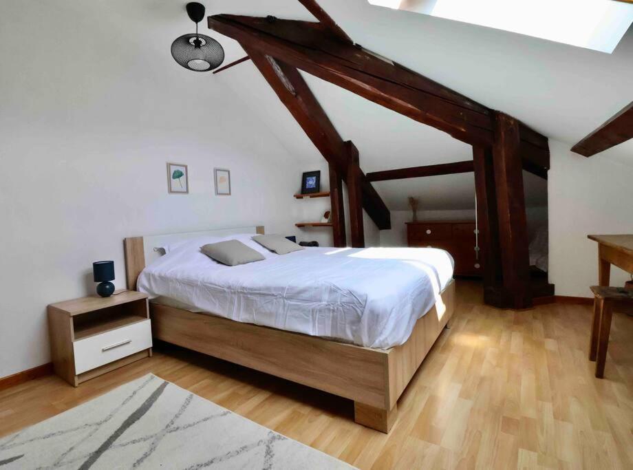 Les Hauts Du Chateau Chambéry Eksteriør billede